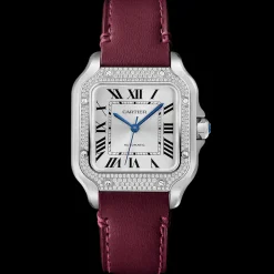 Cartier Santos de Cartier Medium W4SA0005