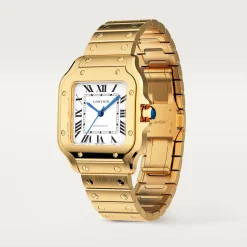 Cartier Santos de Cartier Medium WGSA0030