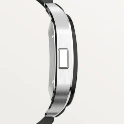 Cartier Santos de Cartier Extra Large WSSA0017