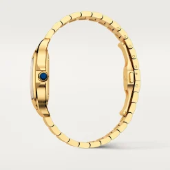 Cartier Santos de Cartier Medium WGSA0030