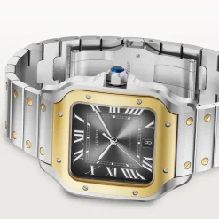 Cartier Santos de Cartier Large W2SA0030