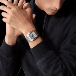 Cartier Santos de Cartier Skeleton Large WHSA0015