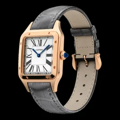 Cartier Santos-Dumont Large WGSA0021