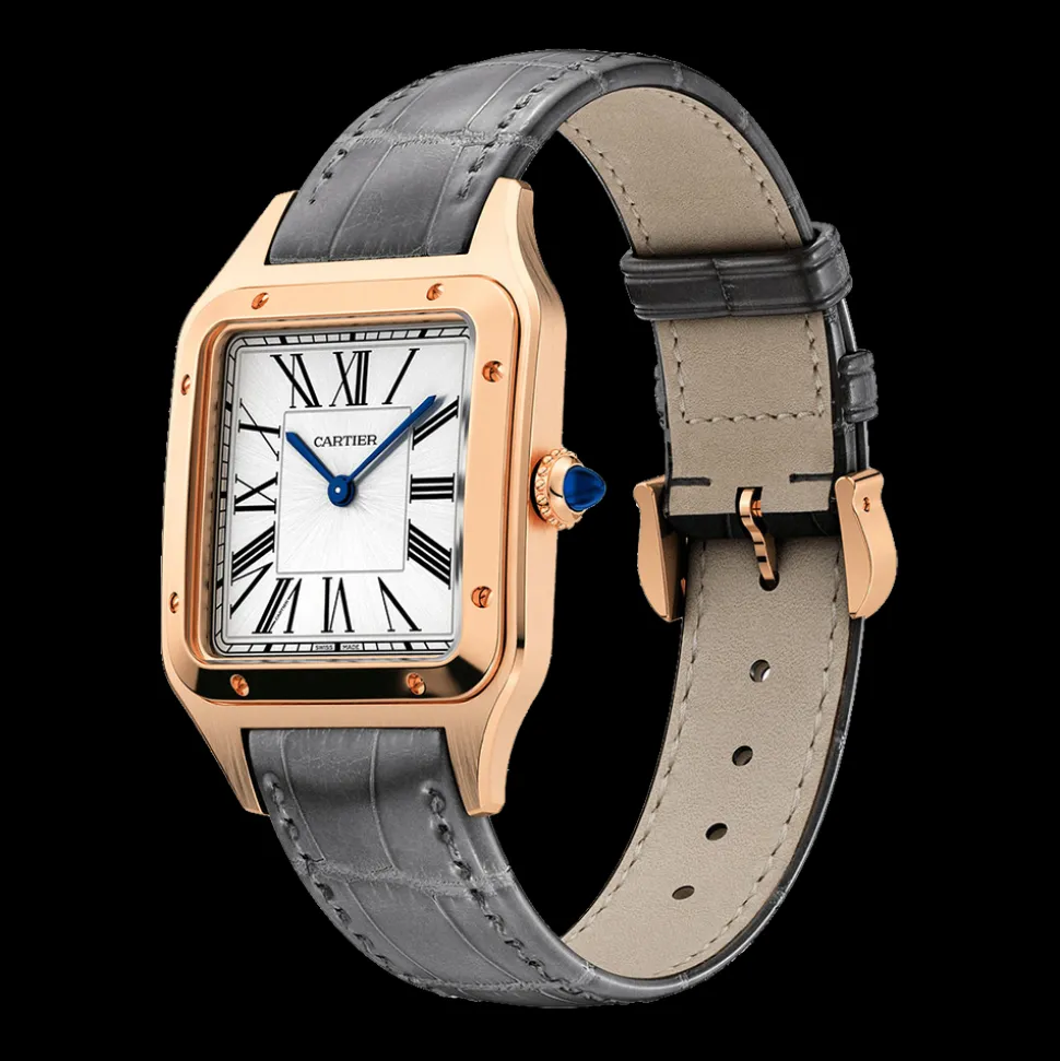 Cartier Santos-Dumont Large WGSA0021