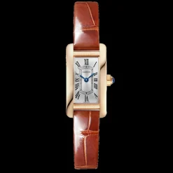 Cartier Tank Américaine Mini Small WGTA0132