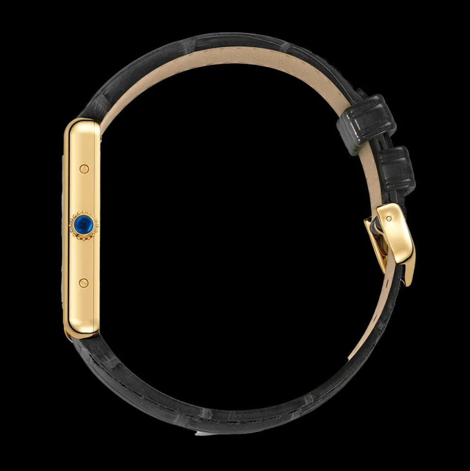 Cartier Tank Louis Cartier Large WGTA0067