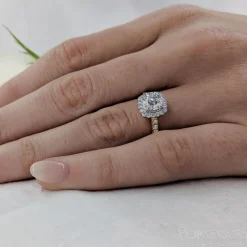Cluster 0.50ct F SI1 Diamond Yellow Gold/Platinum Ring