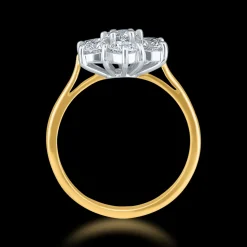 Cluster 0.25ct G VS2 Diamond Yellow Gold/Platinum Ring