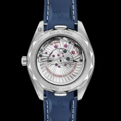 OMEGA Aqua Terra 220.12.41.21.03.007