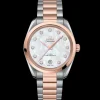 OMEGA Seamaster Aqua Terra 150M 220.20.38.20.55.001
