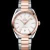 OMEGA Seamaster Aqua Terra 220.20.41.21.02.001