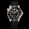 OMEGA Seamaster Diver 300M 210.22.42.20.01.001