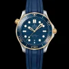OMEGA Seamaster Diver 300M 210.22.42.20.03.001