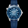 OMEGA Seamaster Diver 300m 210.32.42.20.03.002