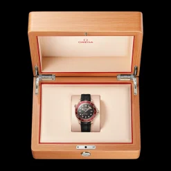 OMEGA Seamaster Diver 300M 210.92.42.20.01.003