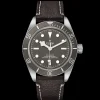 TUDOR Black Bay 58 925 M79010SG-0001