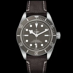 TUDOR Black Bay 58 925 M79010SG-0001