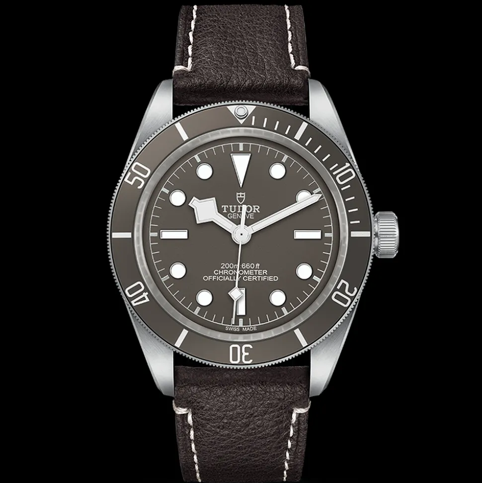 TUDOR Black Bay 58 925 M79010SG-0001