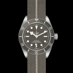 TUDOR Black Bay 58 925 M79010SG-0002