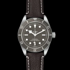 TUDOR Black Bay 58 925 M79010SG-0001