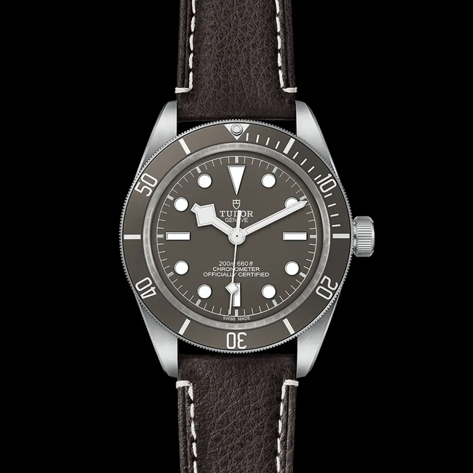 TUDOR Black Bay 58 925 M79010SG-0001