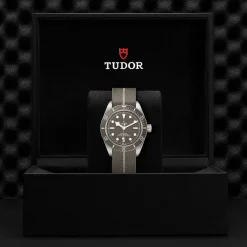 TUDOR Black Bay 58 925 M79010SG-0002
