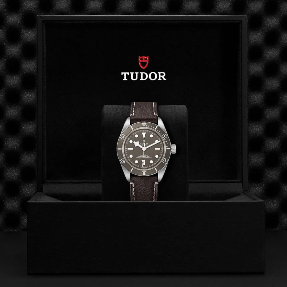 TUDOR Black Bay 58 925 M79010SG-0001