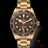 TUDOR Black Bay 58 Bronze M79012M-0001