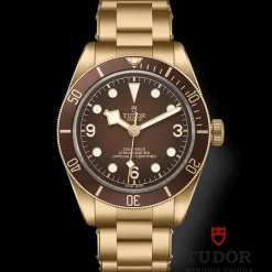 TUDOR Black Bay 58 Bronze M79012M-0001