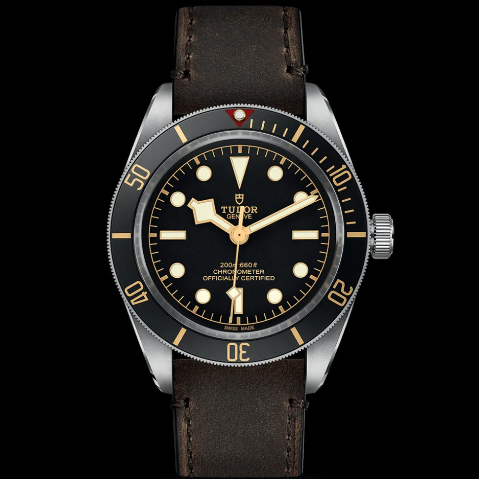TUDOR Black Bay 58 M79030-0002