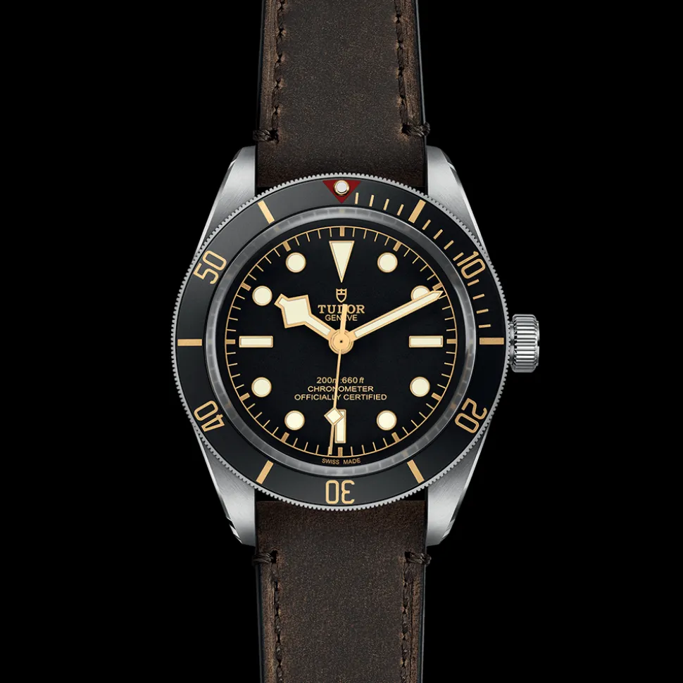 TUDOR Black Bay 58 M79030-0002