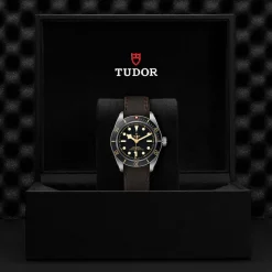 TUDOR Black Bay 58 M79030-0002