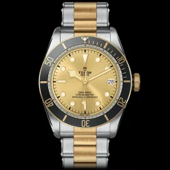 TUDOR Black Bay 41 S&G M79733N-0004