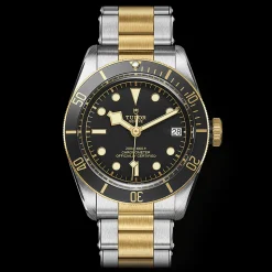 TUDOR Black Bay 41 S&G M79733N-0008
