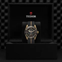 TUDOR Black Bay Bronze M79250BA-0002